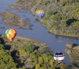 When Pigs Fly, Hot Air Balloon Flight/Albuquerque, 2011