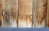 Stained Fence