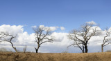 Winter Skies in New Mexico