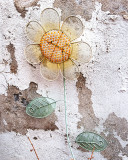 February's Sunflower