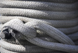 All Things Boats...Dockside