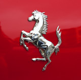 The Prancing Horse