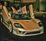 Saleen / Ford