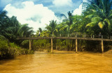 The Muddy Mekong River