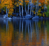 Autumnal Reflections