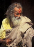 Sadhu