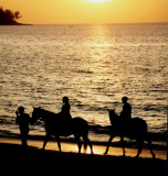 Sunset Ride- Phuket