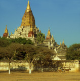 Vintage Bagan