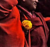 Monk with Carnation