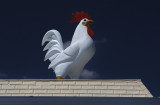 Rooster on a Roof Top