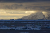 Elephant Is South Shetlands Antarctica DSC_9340.JPG