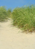 19 path through the dunes
