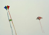 10 and kites did fly