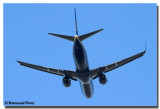 Ryanair 737