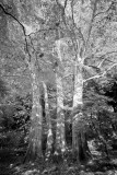 IR5D-7660web.jpg