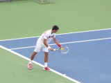 Djokovic