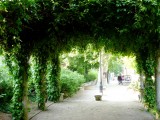 quiet park in Montmarte