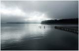 Cindee Berry: Reflecting on Fog
