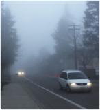 Don Cooper: Foggy Street