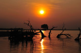 Sunset on the Okavango