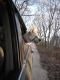 Goin For a Ride.jpg