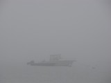 Foggy Morn.jpg