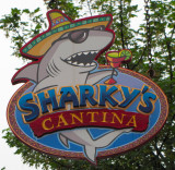 Sharkys Cantina.jpg