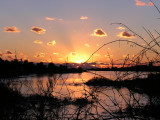 Edgartown Sunset.jpg