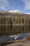 Sylvan Lake Reflection.jpg