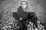 Potato Lady - Potato sorting site, North of Egypt.