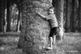 Palm Tree Climber - Tarfaya Village, Giza, Egypt.