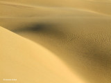 Sand Dune #1