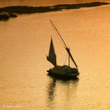 Cargo Boat
