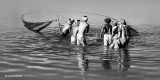 Fishing at lake Qarun