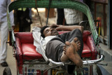 Noon Rest - Delhi, India