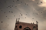 Jama Masjid - Delhi, India