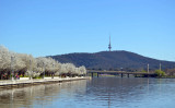 Black Mountain Tower Canberra
