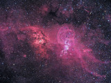 Two Red Nebulae in Carina