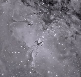 M16 Eagle B&W 100% Crop