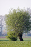 DSC_0036.jpg