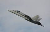 Finland F18 demo.jpg