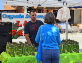 San Carlos Farmer's Market- AsparagusVendor