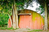 20110826--53.jpg