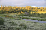 A small river in Northern Dalarna