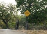 ~ STREET SIGN ~