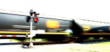 ~ MOTION SHOT ~