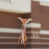 Texas Longhorns