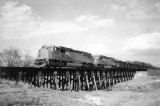 Black & White Photo of BNSF Coal Train
