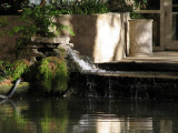One of Many Fountains on the Riverwalk