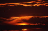 Dare to Dream  -- Sunsets Blaze 2.jpg